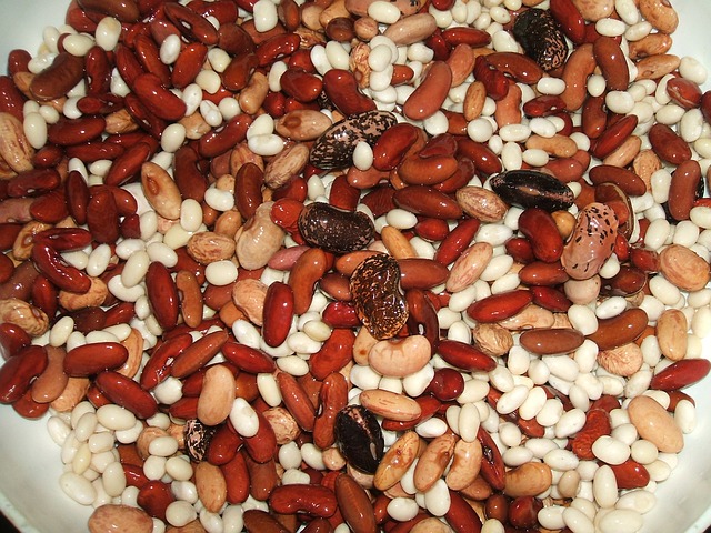 směs různých druhů fazolí